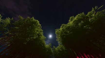 Bamboo forest wallpaper on the evening sky. 3D rendering