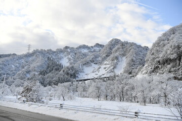 青空の雪景色
snowy blue sky