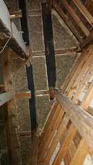 1882)Collected all the japanese yellow hornet nests in the attic of an old house.(Photo taken at 10:55 on august 4, 2017)