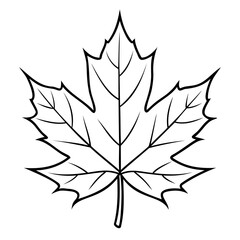 Premium Quality Maple Leaf Vector Outline Perfect for Design Projects