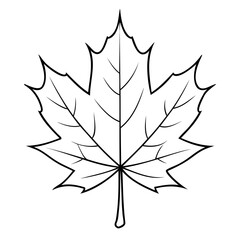 Premium Quality Maple Leaf Vector Outline Perfect for Design Projects