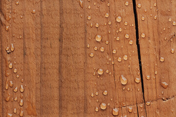 Water droplets on top of a rough wooden surface. Close up, macro photograph of detailed grainy surface.