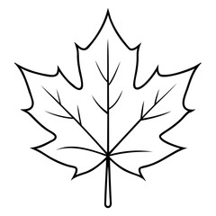 Christmas Maple Leaf Line Art Vector Design Isolated on Transparent Backgrounds