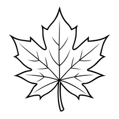 Maple Leaf Vector Outline High-Quality Maple Leaf line art isolated on a transparent background