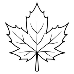 High-Quality Christmas Maple Leaf Vector Outline or Line Art on Transparent Background