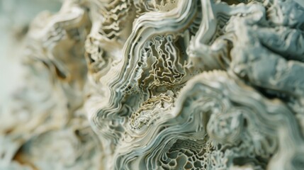 Close-up of anatomical brain model showcasing visible age-related changes like wrinkles and subtle color variations for medical and educational use.