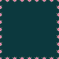 Pink cosmos flower (Cosmos bipinnatus) watercolor illustration for spring seasons. Botanical, flower season on green background 