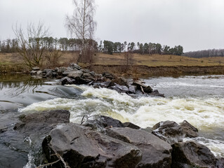 A river with rocks in the middle of it and trees in the background