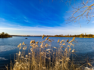 A view of a body of water with tall grass in the foreground
