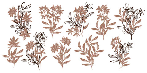 Minimalistic vector botanical illustration. hand drawn flowers and leaves in mocha and brawn outlines. line art and silhouettes, emphasizing natural, organic beauty in a modern style
