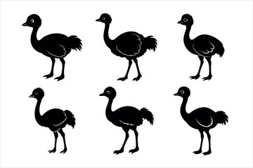 Set of Black and White Ostrich Silhouettes vector design