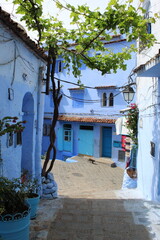 Fototapeta premium Magnifique ruelle avec boutique et vigne, murs bleus, dans la ville touristique de Chefchaouen au Maroc