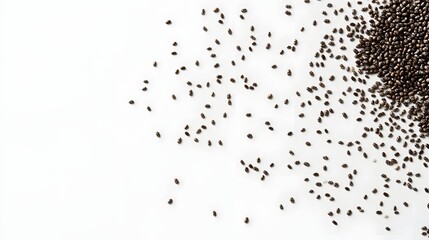 Obraz premium Chia Seeds Scattered On White Background