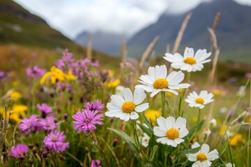 Obraz premium A field of blooming wildflowers in Ireland, with rolling hills and a distant castle in the background