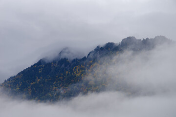 Jesienne g&oacute;ry w morzu mgieł.