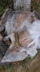 1890)japanese yellow hornet nest recovered from deep in the attic and under the eaves on the second floor(Photo taken at 12:40 on august 4, 2017)