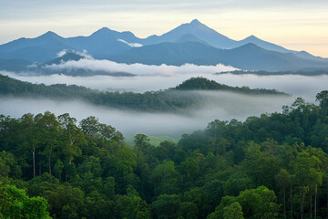 Stunning view of Knuckles Mountain Range with misty peaks and lush greenery. serene landscape evokes sense of tranquility and natural beauty