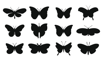 Butterfly swarm silhouette background butterfly shelter and vector design 