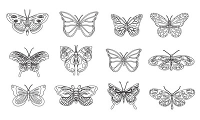 Butterfly line set. Various butterflies linear shapes collection. Vector illustration isolated on white.