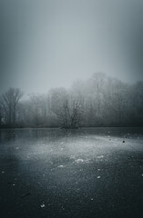 Gefrorener See an einem kalten Wintertag