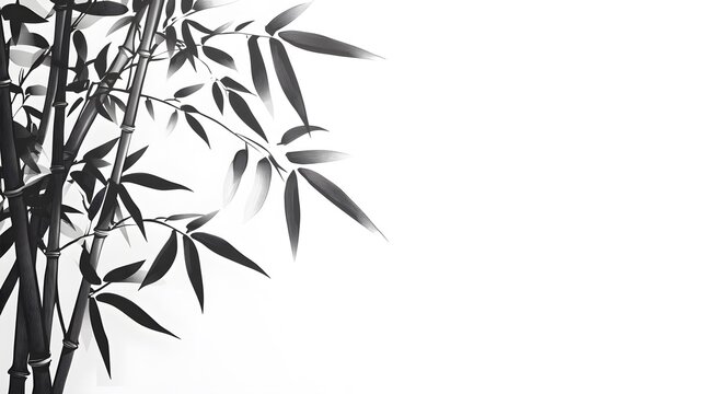Monochrome Bamboo Stalks and Leaves on White