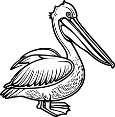 Pelican line vector illustration white background	