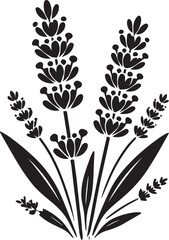 Silhouettes of plants