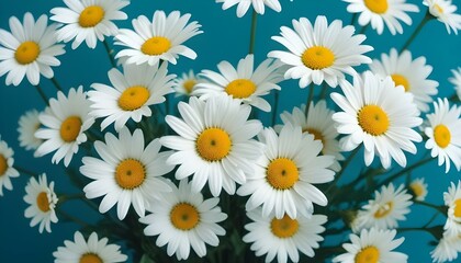 Un ramo de flores de margaritas blancas sobre un fondo azul verdoso