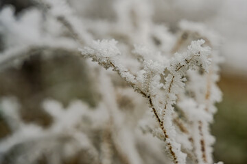 Ein frostiger Tag auf dem Bogenberg