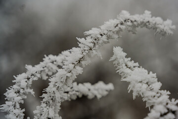 Ein frostiger Tag auf dem Bogenberg