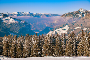 Beautiful winter mountain landscape in Sunny weather with views of Grindelwald, Bernese Oberland,...