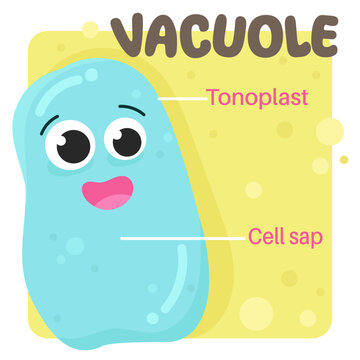 Cute Cartoon of vacuole in human body.