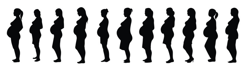 A set of pregnant woman vector silhouette