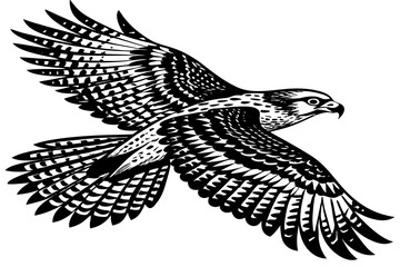 Large Ferruginous Hawk in flight with blue sky background