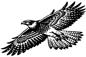 Large Ferruginous Hawk in flight with blue sky background