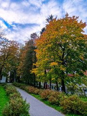 Pathway with vibrant trees and blue sky in autumn