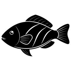 fish illustration