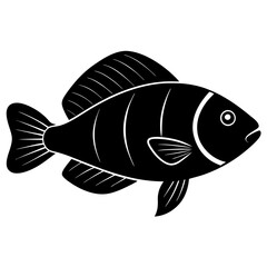 illustration of a fish