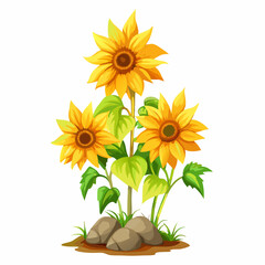 Obraz premium Sunflowers with leaves and rock vector illustration (1)