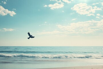 Fototapeta premium Bird flying over ocean beach under sunny sky.