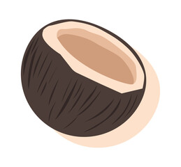 Coconut half tropical fruit vector illustration