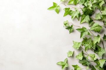 A minimalist depiction of an ivy-covered wall with clean lines and soft green gradients on a neutral background