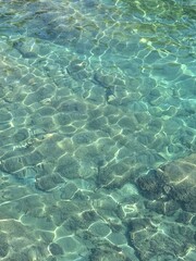 Transparent sea water with stones and algae at the bottom 