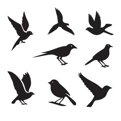 Obraz premium black bird icon set vector design isolated on white background