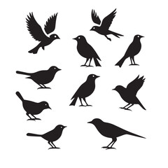 Fototapeta premium black bird icon set vector design isolated on white background