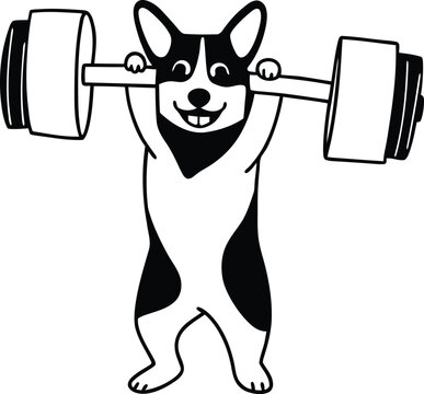 recommend clip art: Welsh Corgi dog lifting a barbell silhouette vector, Welsh Corgi dog lifting a barbell line art vector illustration
