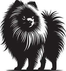 Cute silhouette of a small dog