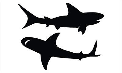 shark silhouette isolated on white