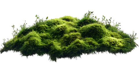 Lush Green Mossy Terrain with Vibrant Grass Accents, Natural Organic Background
