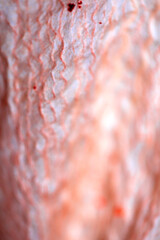 Abstract Petal Close Up of a Lily Flower in Pink with Veins and Lines